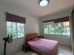 Rochdale Road (D19), Terrace #549137871